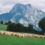 Bauernhof Minabauer *