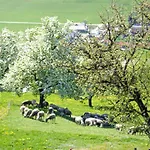 Minabauer *