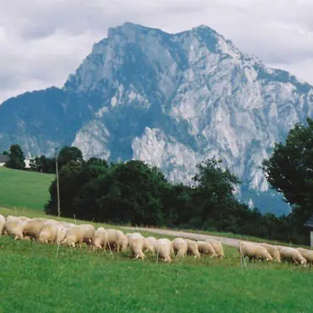 Minabauer * Altmuenster